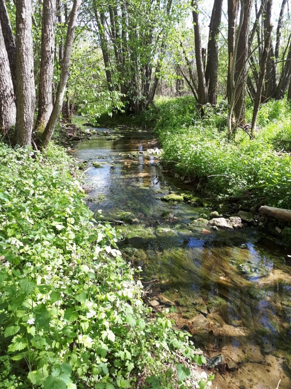 le ruisseau du Cornapré, Saint-Firmin