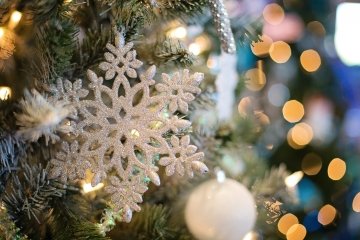 Découvrez toutes les animations de Noël dans le Saintois