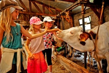 Les visites à la ferme reprennent !